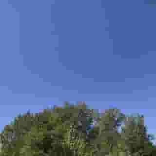 Oasi Del Vetoio, 1 of 5