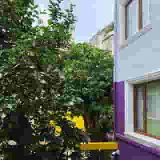 The Zanadu Istanbul, 2 of 5