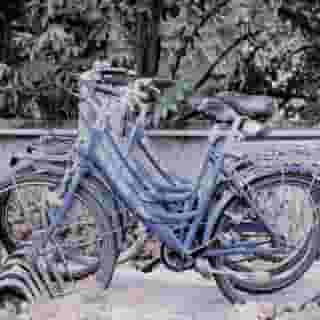 Novo Hotel Rossi, 2 of 5