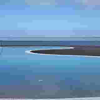 Royal Orchid, 5 of 5