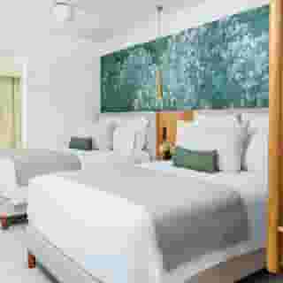 Dreams Flora Resort & Spa, 2 of 5