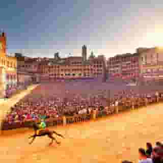 Palazzo de' Vecchi, 2 of 5