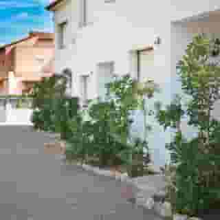 El Pinar Bungalows Brisasol, 3 of 5