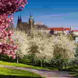 Hilton Prague Old Town, 5 of 5