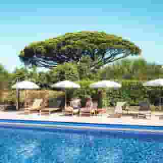 La Mandarine, 2 of 5