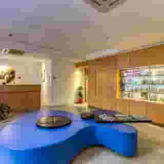 Hotel Franklin feel the sound, 2 of 5