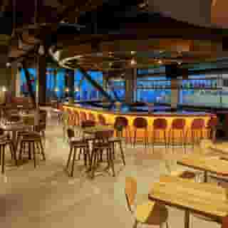 Sable at Navy Pier Chicago Curio Collection Hilton, 3 of 5