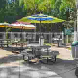 Hilton Vacation Club Cypress Pointe Orlando, 6 of 6