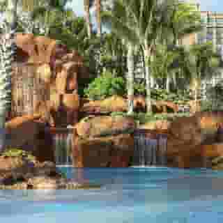 The Reef at Atlantis, 1 of 5