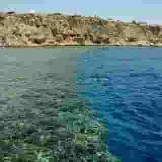 Dreams Vacation Resort, 5 of 5