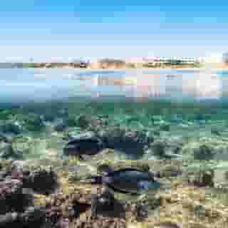 The Three Corners Equinox Beach Resort, 4 of 5