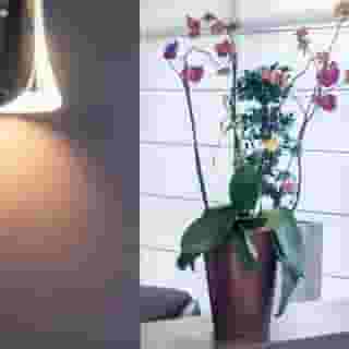 Hotel Mercure Brussels Centre Midi, 2 of 5