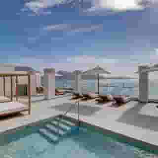 Hoposa Pollentia, 1 of 5