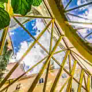 The Dominican, 2 of 5