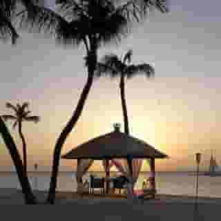Bucuti & Tara Beach Resort - Adults Only (18+), 4 of 5