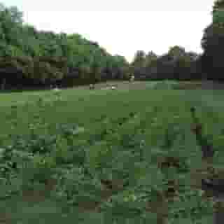 The Hermitage Hotel, 2 of 5