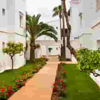 Globales Bouganvilla, 2 of 5