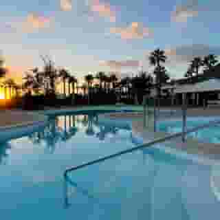 Palmeras Garden, 3 of 5