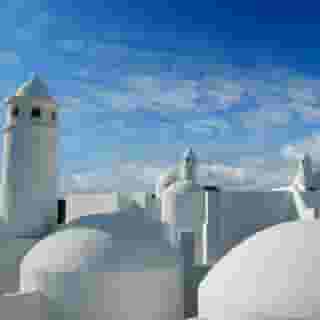 Tabaiba Center, 5 of 5