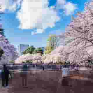 Kimpton Shinjuku Tokyo, 1 of 5