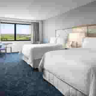 Walt Disney World Dolphin Resort, 4 of 5