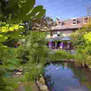 Le Friquet Country, 3 of 5