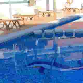 La Familia Gallo Rojo, 5 of 5