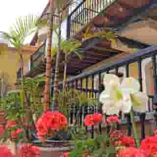 ESTRELLA DEL NORTE, 2 of 5