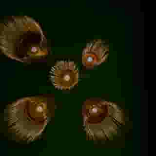 Sacha's Hotel, 5 of 5