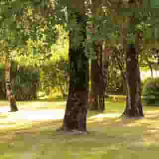 Kyriad Nantes Sud Bouaye Aeroport, 4 of 5