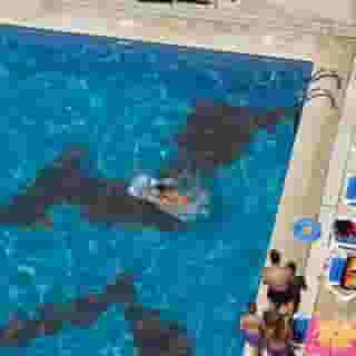 Xon's Platja, 4 of 5