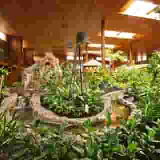 Best Western Premier Ashton Suites-Willowbrook, 1 of 5