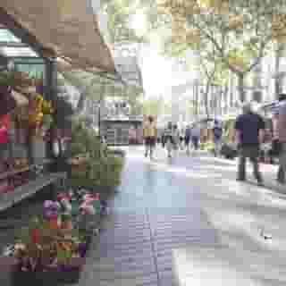 Apart - Ramblas 108, 6 of 6