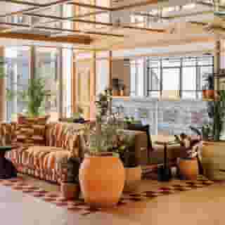 Locke De Santa Joana, 3 of 5