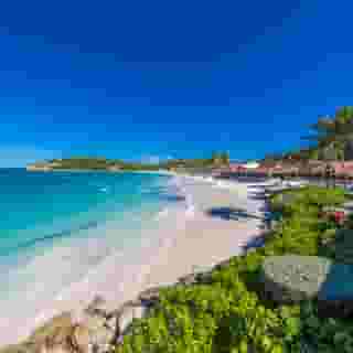 Pineapple Beach Club - Adults Only, 5 of 5