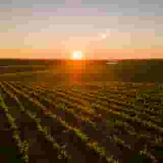 Vila Gale Alentejo Vineyards (Clube de Campo), 4 of 5
