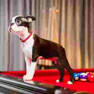 Radisson RED Hotel, Glasgow, 5 of 5