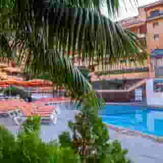 Coral Los Alisios, 4 of 5