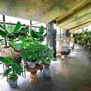 Apollo Hotel Amsterdam, a Tribute Portfolio Hotel, 5 of 5