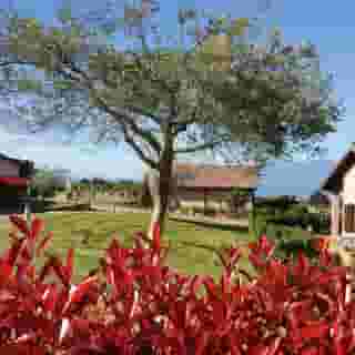 Popilia Country Resort, 2 of 5