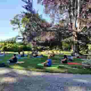 Dandelion Como Suites & Park, 4 of 5