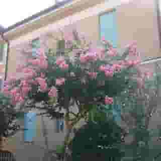 B&B Accorsi, 2 of 5