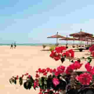 Ocean Bay Hotel & Resort, 4 of 5