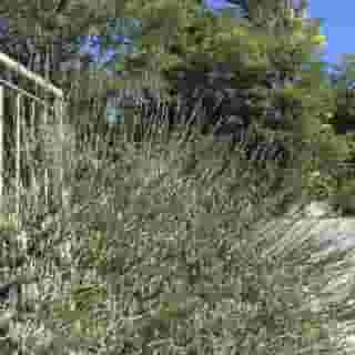 Oasi Del Vetoio, 5 of 5