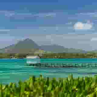 Tropical Attitude - Adults Only, 2 of 5