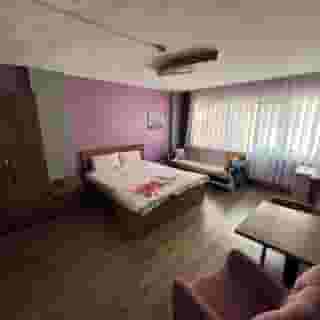 Flamingo Suit, 2 of 5