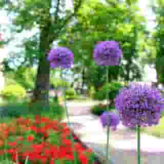 Hotel Georgy House, 4 of 5