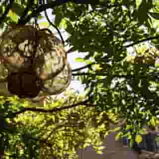 Avogaria Locanda & Restaurant, 1 of 5