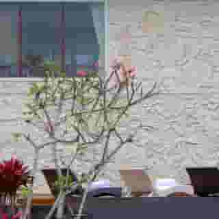 Ashoka Tree Resort at Tanggayuda Ubud, 3 of 5