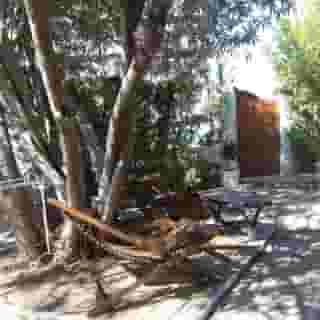 Cielito Lindo, 3 of 5